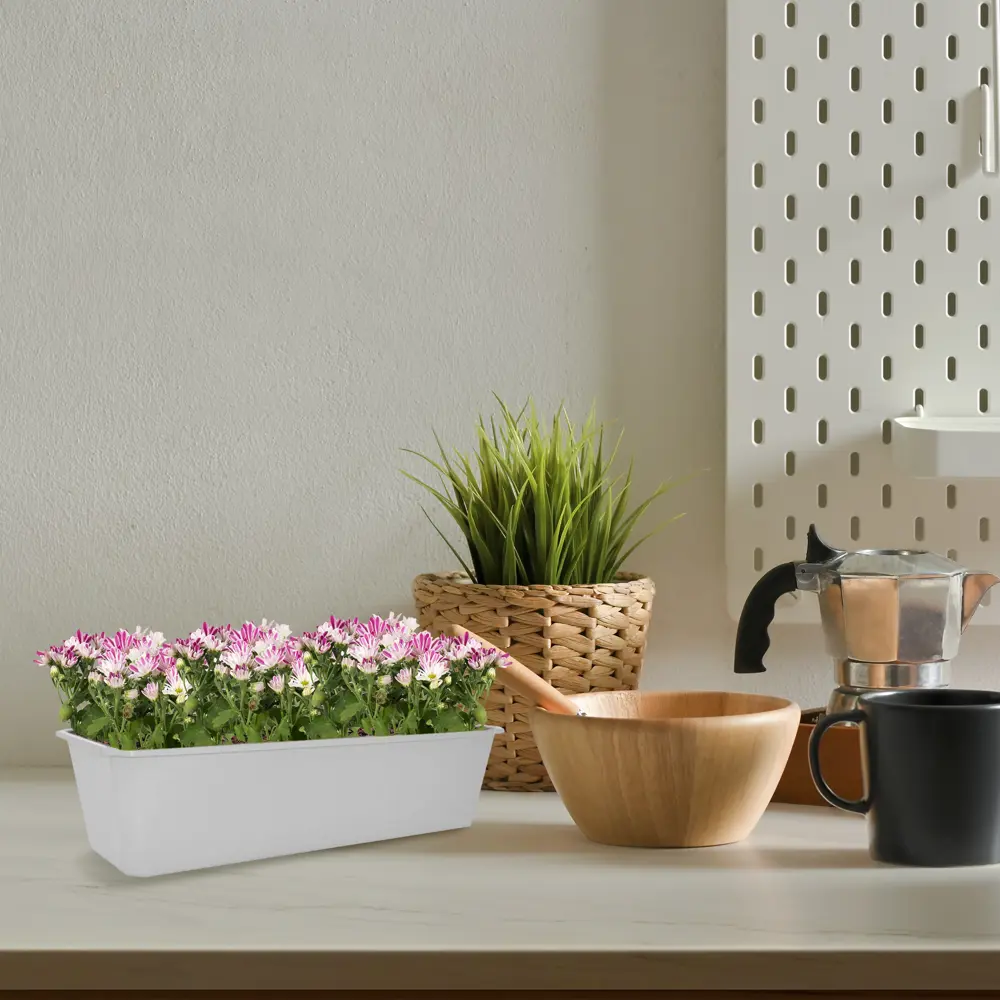 Хризантема Santreyd микс - яркое горшочное растение для дома и сада 14032484 STLM-0004210 - Вид №5