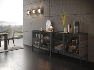 Шкаф из дерева и стекла со встроенным освещением