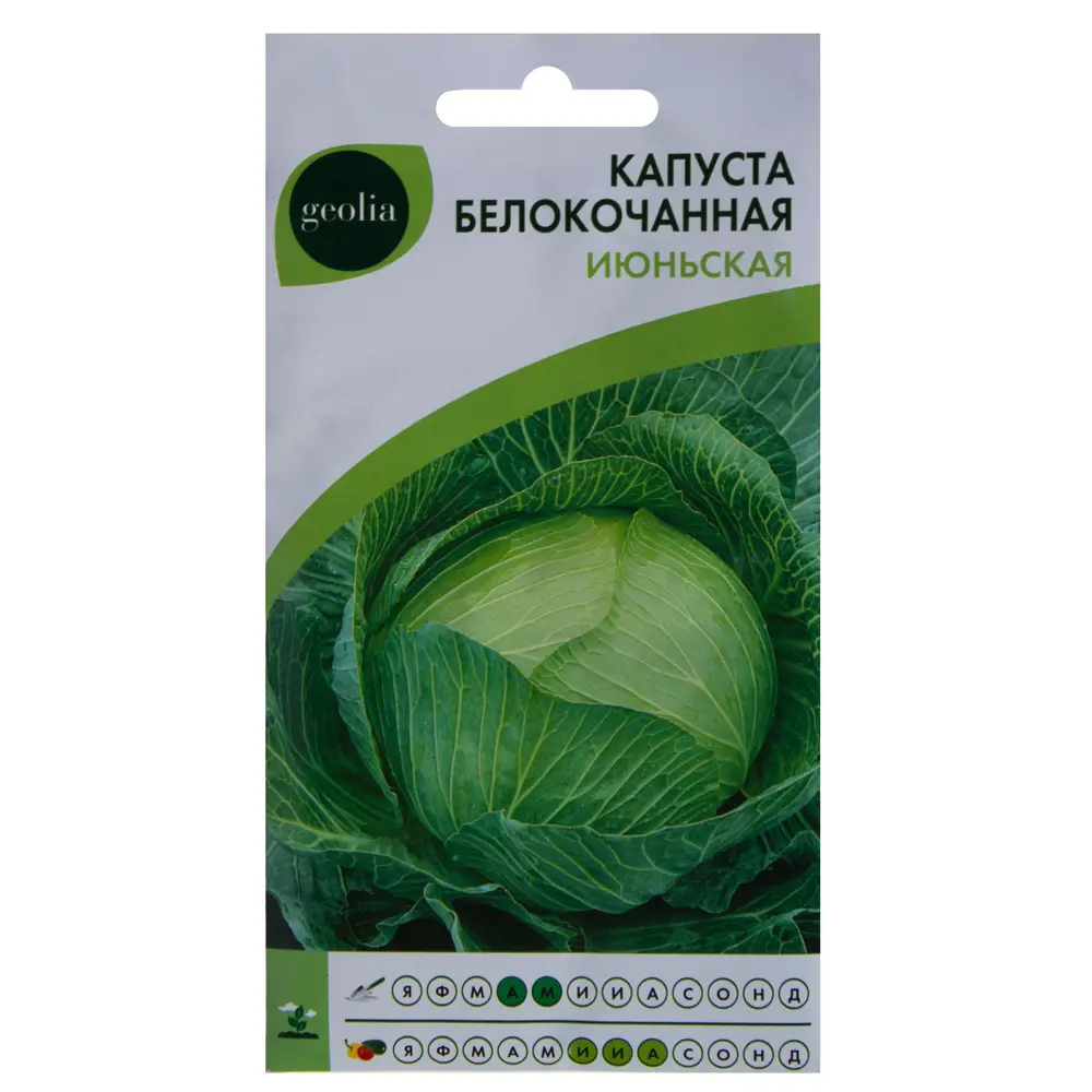 Семена капусты белокочанной GEOLIA Июньская - ранний урожай 17585404 STLM-0008374