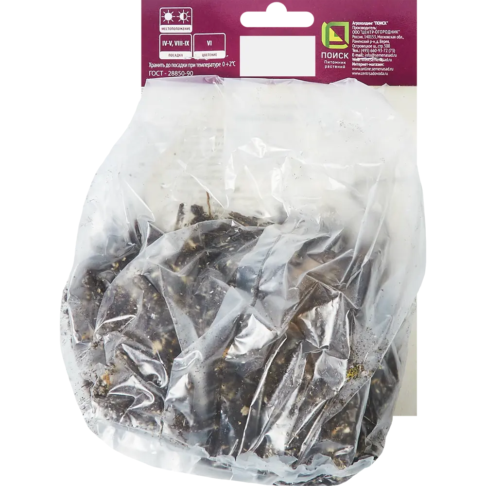 Ирис бородатый Бургунди Браун ПОИСК STLM-2106667 - Вид №1