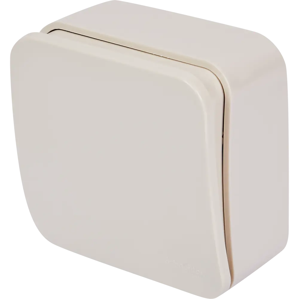 Выключатель накладной Schneider Electric Blanca 10 А 1 клавиша цвет бежевый SYSTEME ELECTRIC STLM-2161145