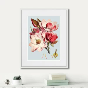 Картина в раме 52х42 см Himalaya Plants Pink Flower, 1869г. КАРТИНЫ В КВАРТИРУ  264423 Красный;розовый;разноцветный