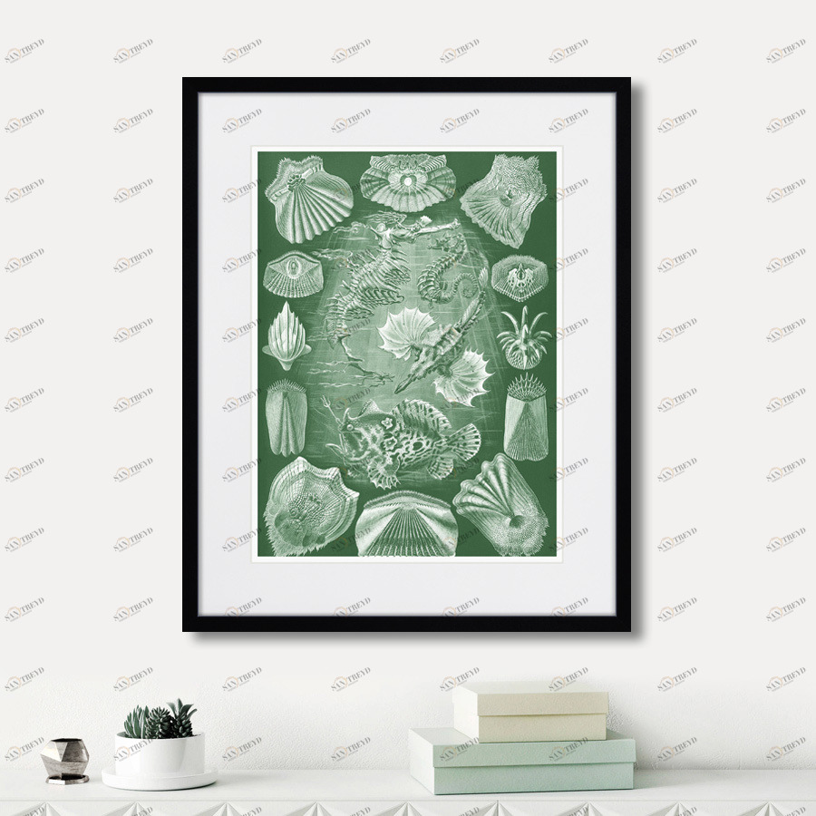 Картина: Art forms of nature №5, 1897г. КАРТИНЫ В КВАРТИРУ  264461 Разноцветный 