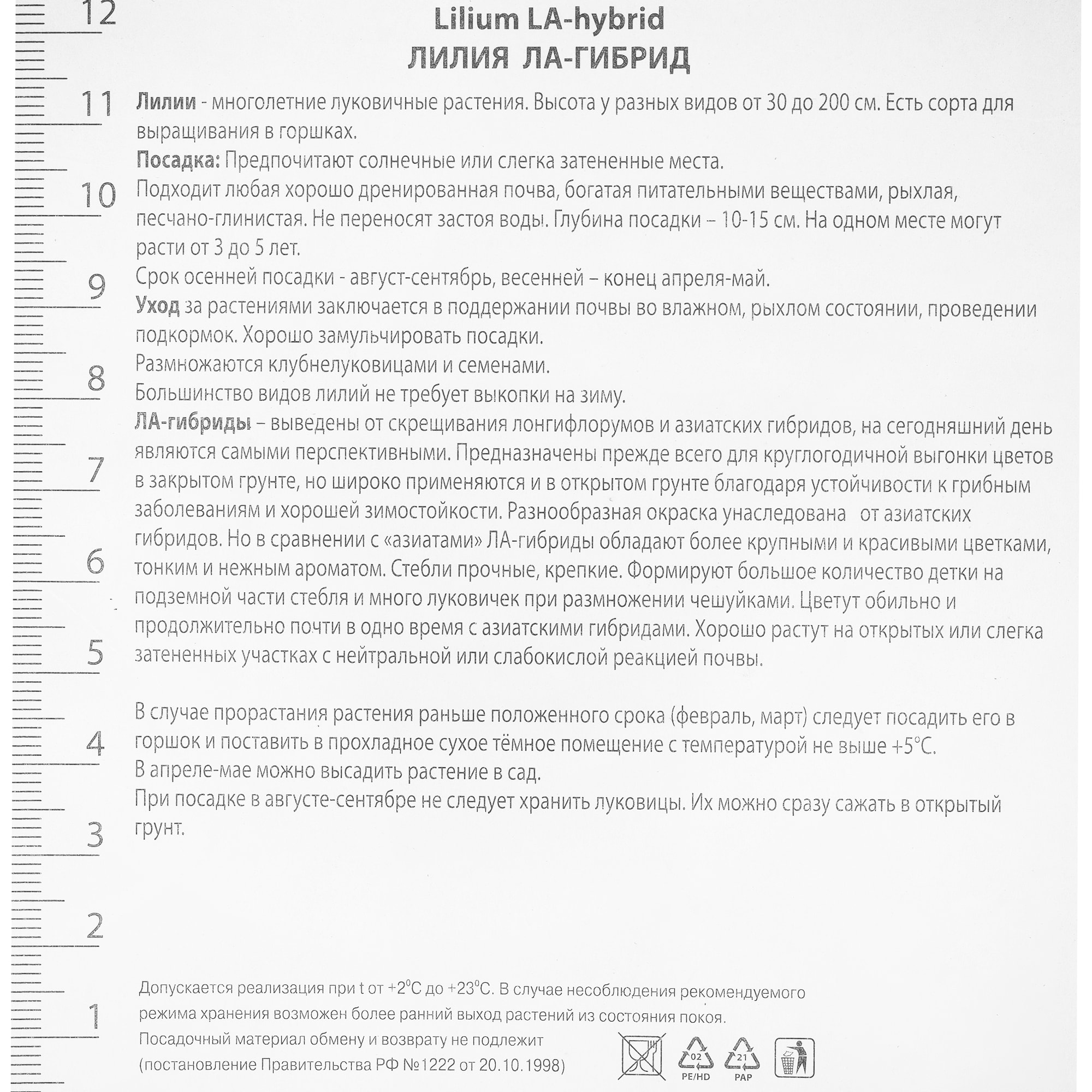 82000197 Лилия ЛА-гибрид «Ориджинал Лав», высота 50 см, 1 шт Santreyd  - Вид №1