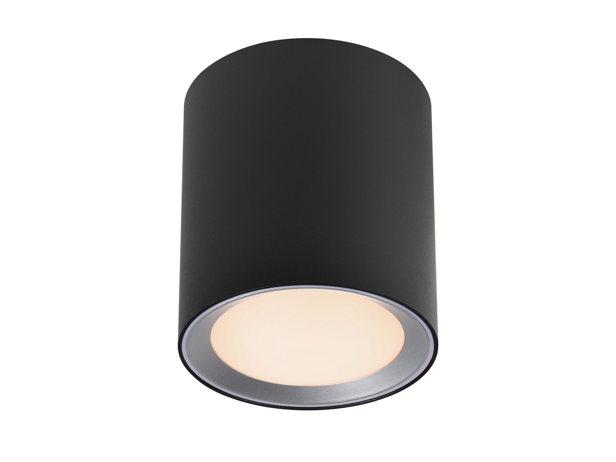 Потолочный металлический прожектор Nordlux Landon ARCH-00151558 - Вид №4