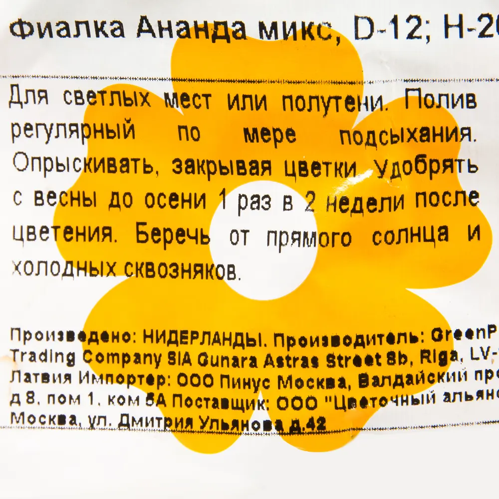 Фиалка Ананда микс 12х20 см 13942910 STLM-2159330 Santreyd  - Вид №2