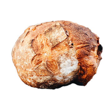 Тартин с пармезаном Sasha Bread Santreyd 27202