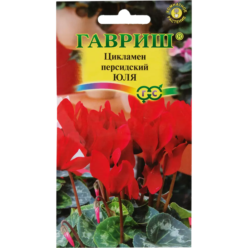 Цикламен персидский «Юля», 3 шт. 82472687 STLM-2206400 ГАВРИШ 