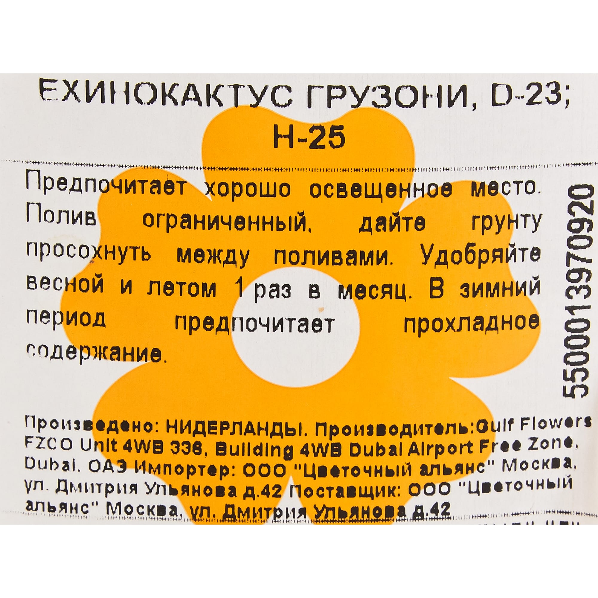 82850424 Эхинокактус Грузони 23х25 см Santreyd  - Вид №2