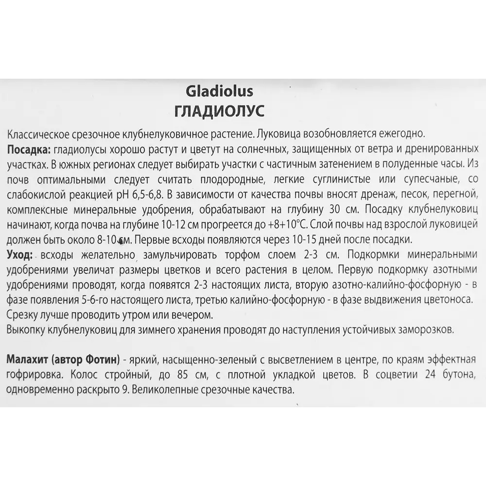 Гладиолус Малахит, 3 шт 86410014 STLM-2022995 ПОИСК  - Вид №2