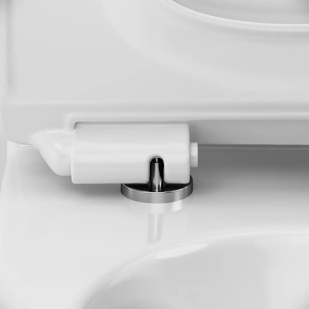 Унитаз-моноблок AM.PM Pride с безободковым дизайном 89413034 STLM-1571373 - Вид №8