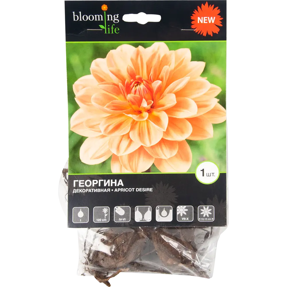 Георгина Эприкот Дезайя I, 1 шт BLOOMING LIFE STLM-2059640