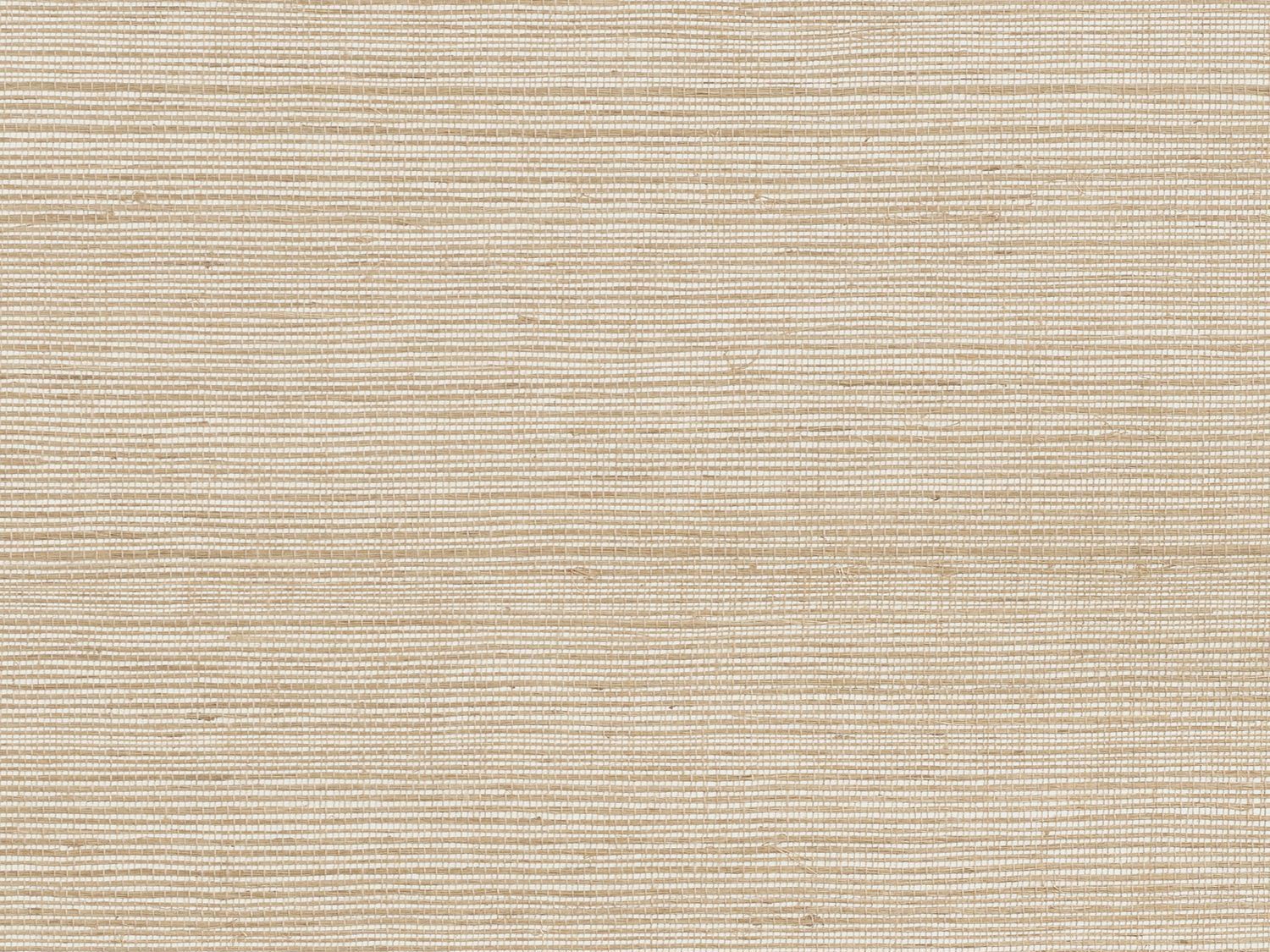 Сизаль сплошной цвет ткани стены Casamance Palatino ARCH-00142790 - Вид №1