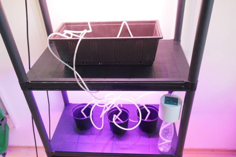 1913 Стеллаж универсальный 143*90*40 для рассады или цветов LAB.Space  - Вид №2