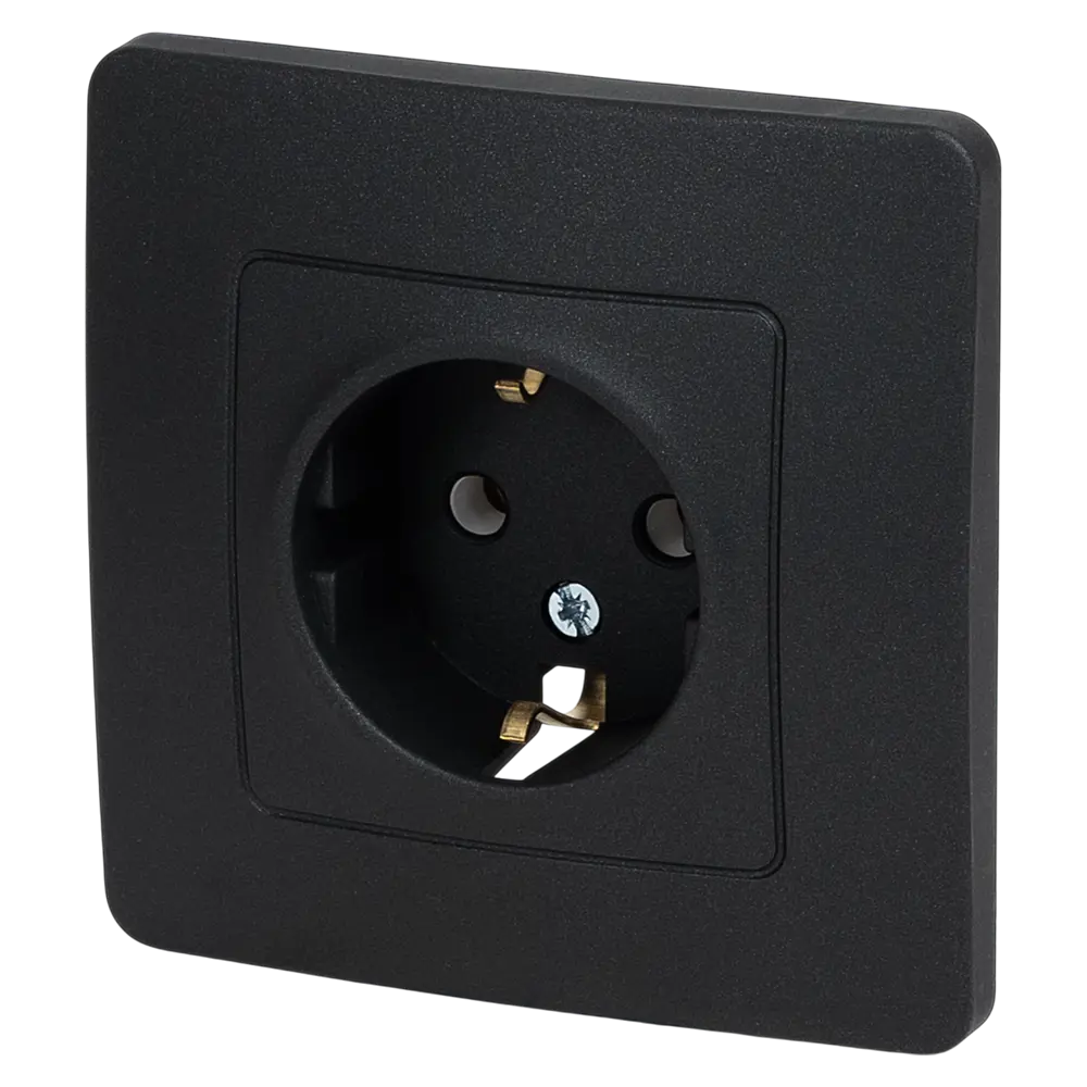 Розетка встраиваемая Systeme Electric Blanca с заземлением цвет антрацит STLM-2061628 - Вид №1