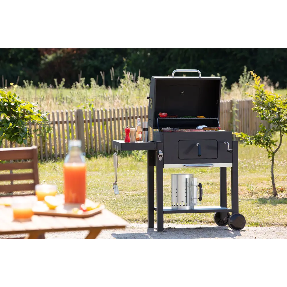 Гриль передвижной Naterial Centaurus Beta 103x65x108.4 см STLM-2035951 - Вид №37