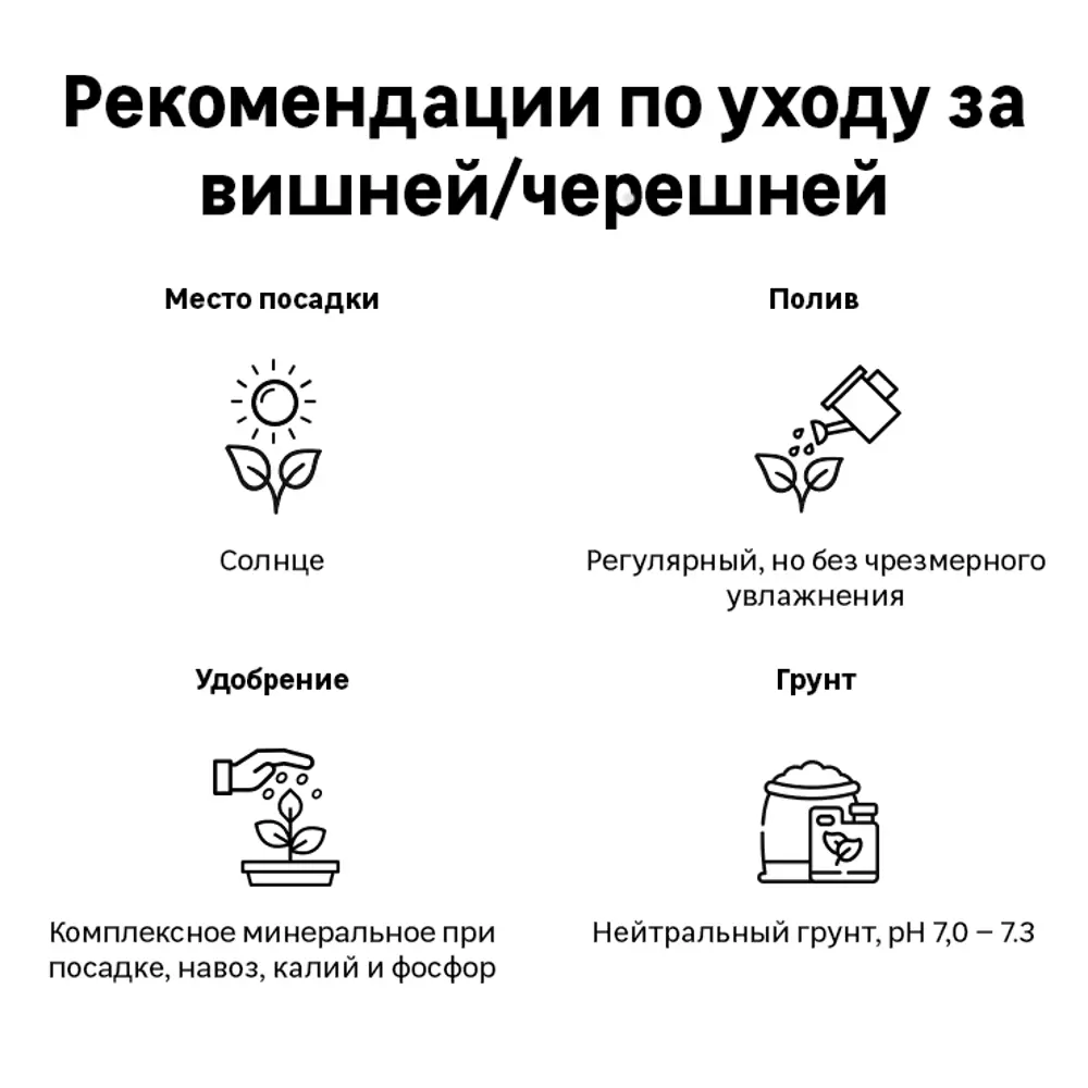 Вишня войлочная «Детская» C7 высота 140-170 см ВСЕ В САД STLM-2082130 - Вид №1