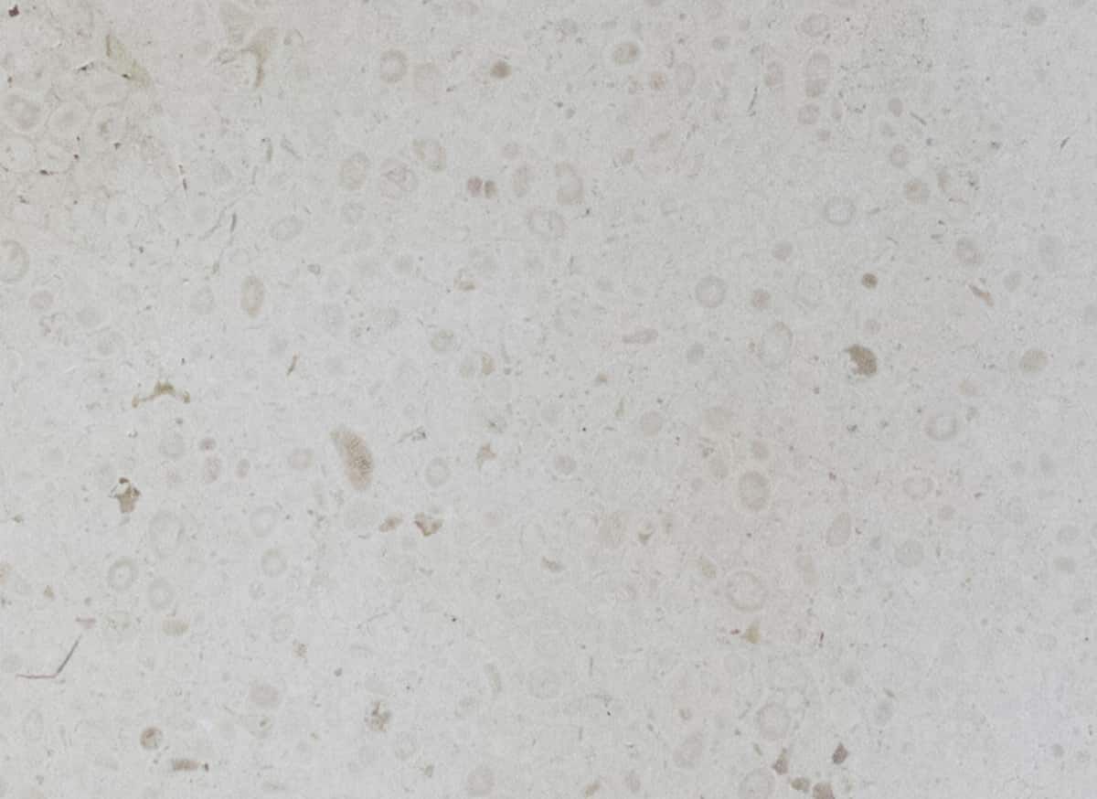 Прямоугольная двойная подвесная раковина COCOON Piet Boon ARCH-00022194 - Вид №28