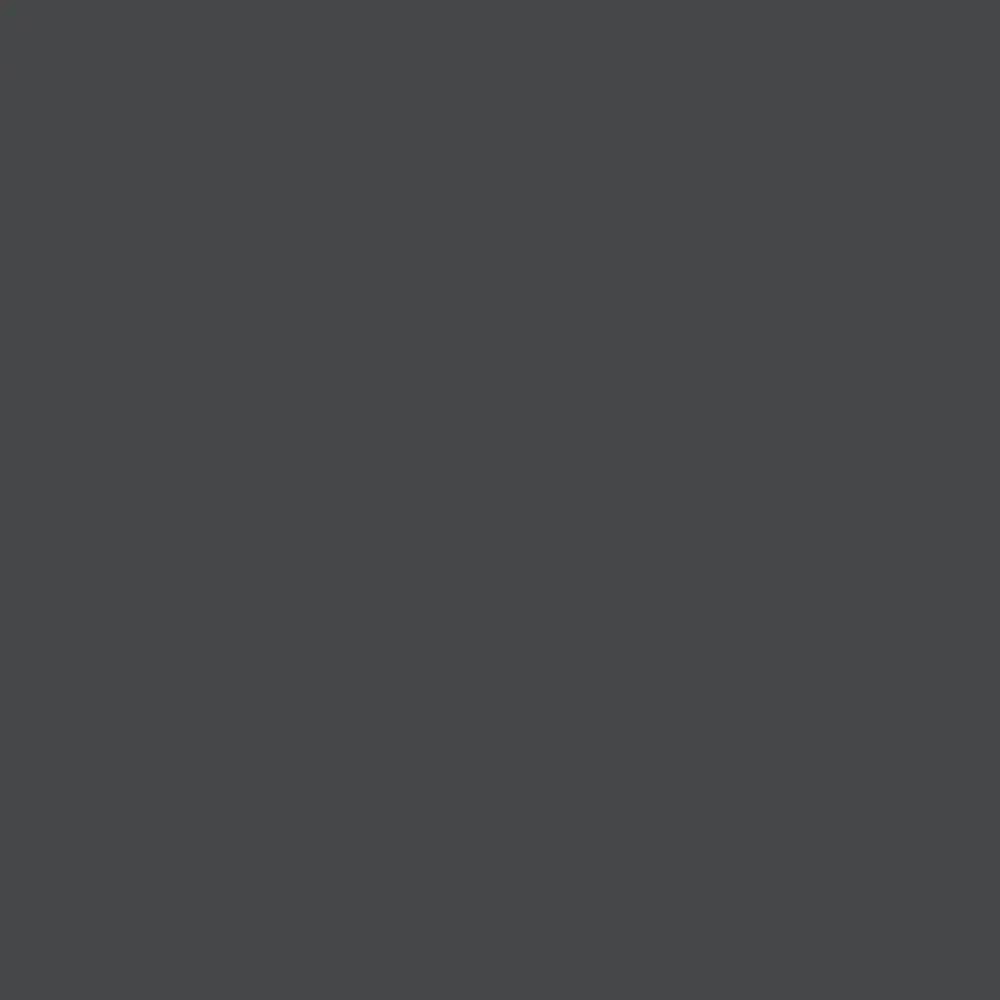 Дверца для обувницы 30.5x91.7x1.6 см ЛДСП цвет графит Santreyd STLM-2007821 - Вид №2