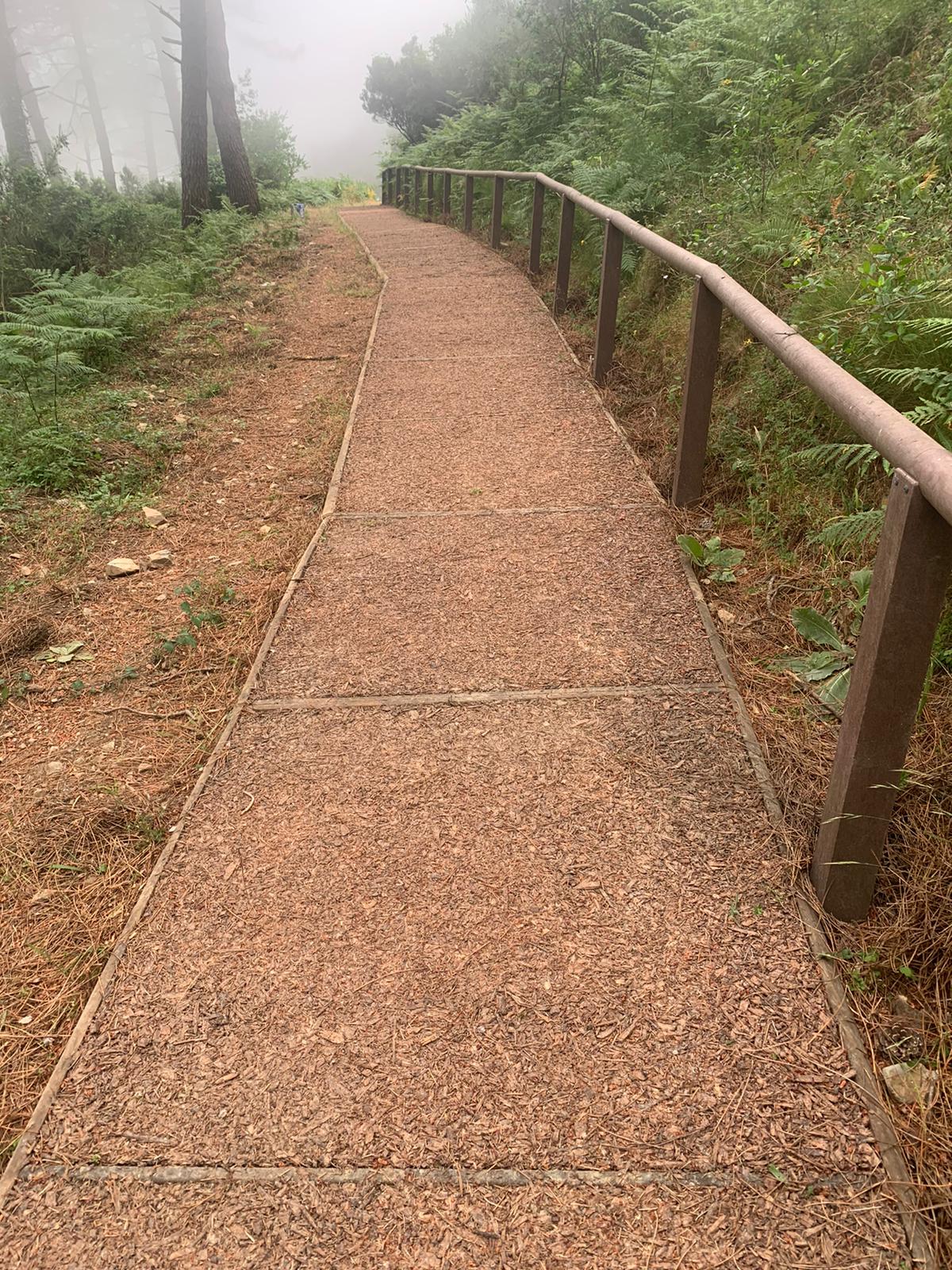 Настил из древесной щепы Studio Muscatelli GREVELWOOD ARCH-00067258 - Вид №2