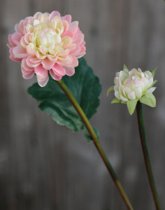 3199 508 a3 Искусственная хризантема, 5-цветков, 68 см, розово-зеленая H-andreas