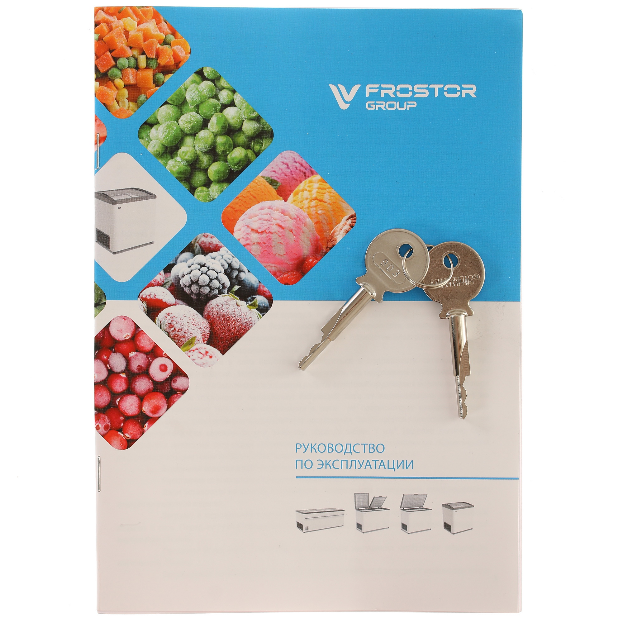 1229602 Морозильный ларь Frostor Gellar FG 275 E белый, серый STDN-0097429 - Вид №7