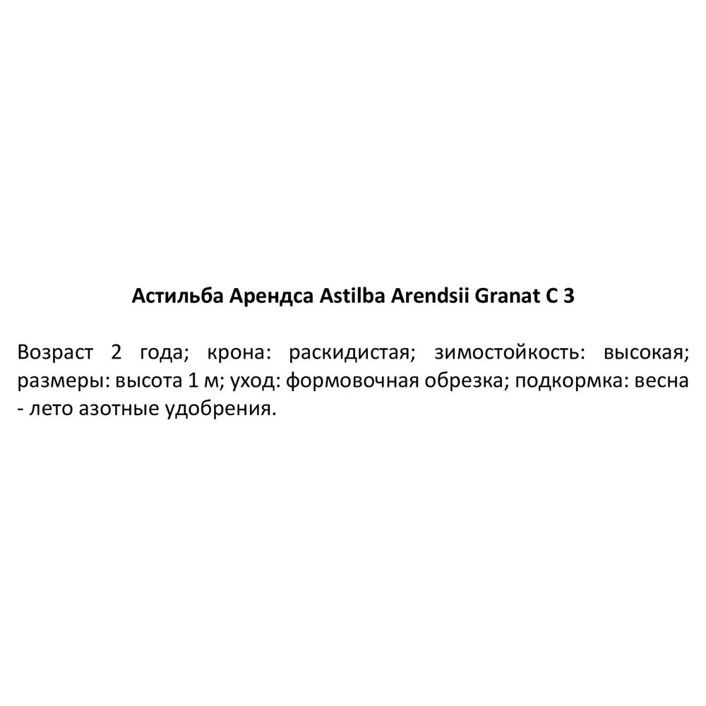 Астильба арендса Гранат C3 ø15 h30 см PLANTMARKET STLM-2054962 - Вид №2