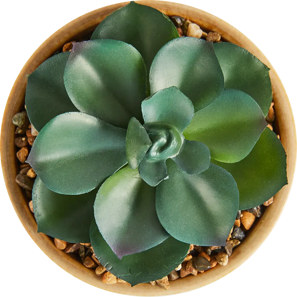 Искусственное растение Atmosphera 14 см STLM-2145586 - Вид №1