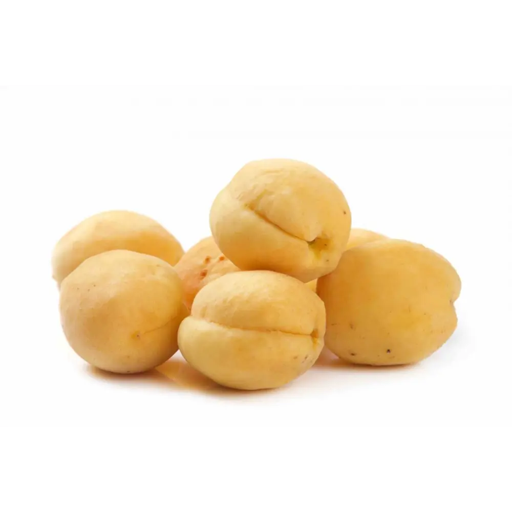 Абрикос «Шалах» C7 высота 150-180 см ВСЕ В САД STLM-2140097