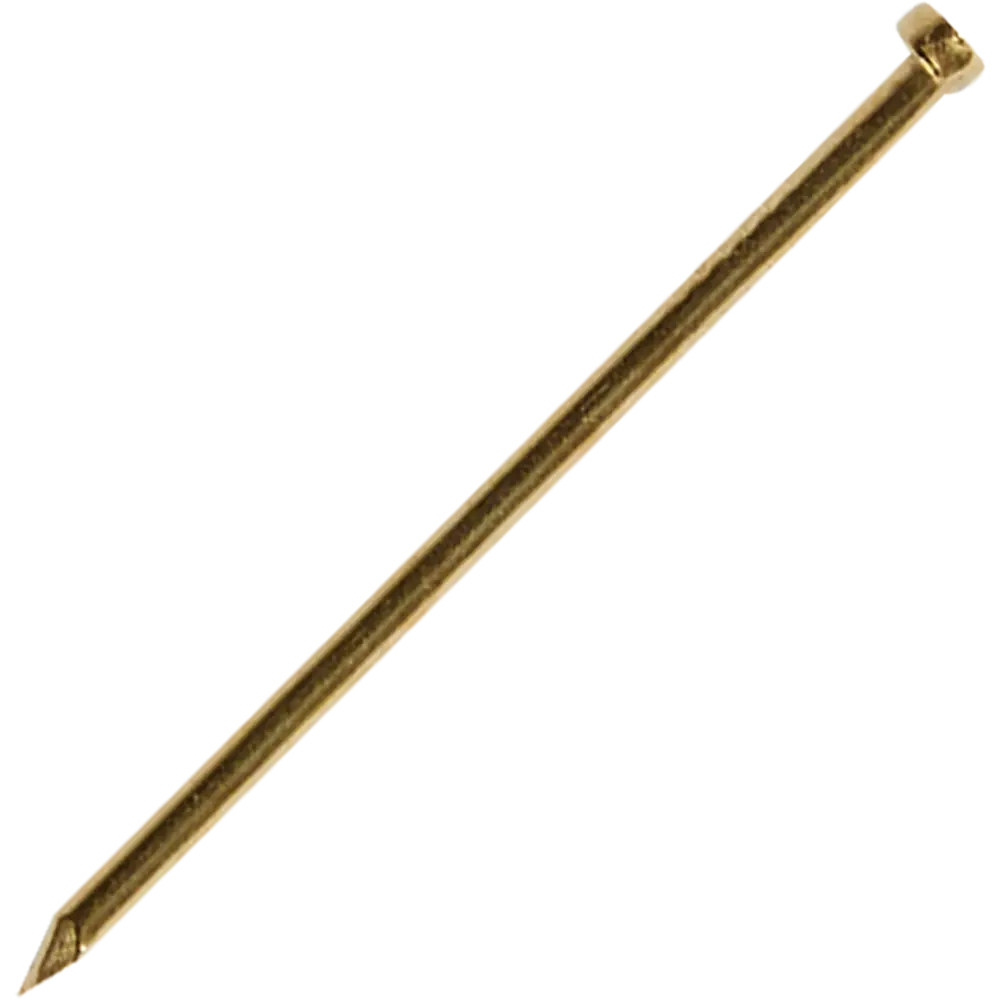 Гвозди финишные 1.2x25 мм 20 шт. 87955865 STLM-2181726 Santreyd 
