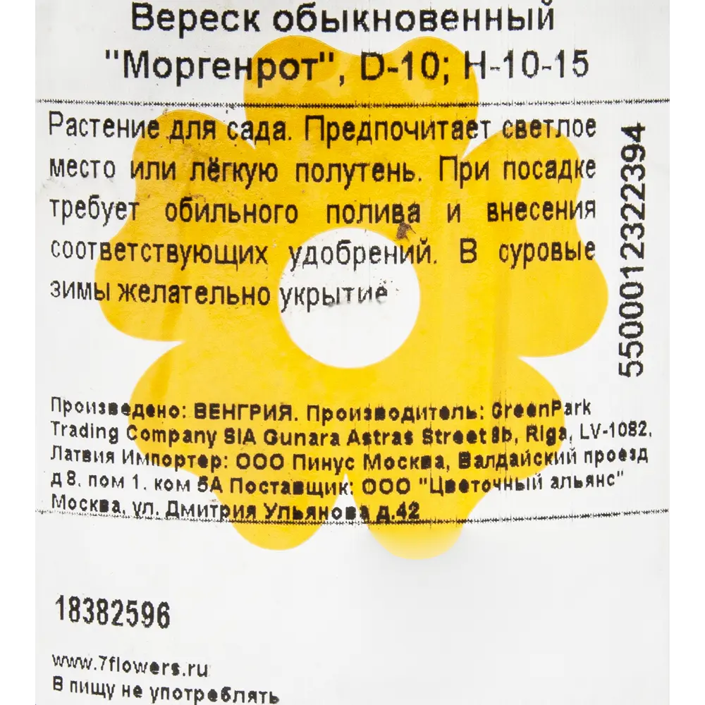 Вереск обыкновенный «Моргенрот», 10х10-15 см 18382596 STLM-2031523 Santreyd  - Вид №2