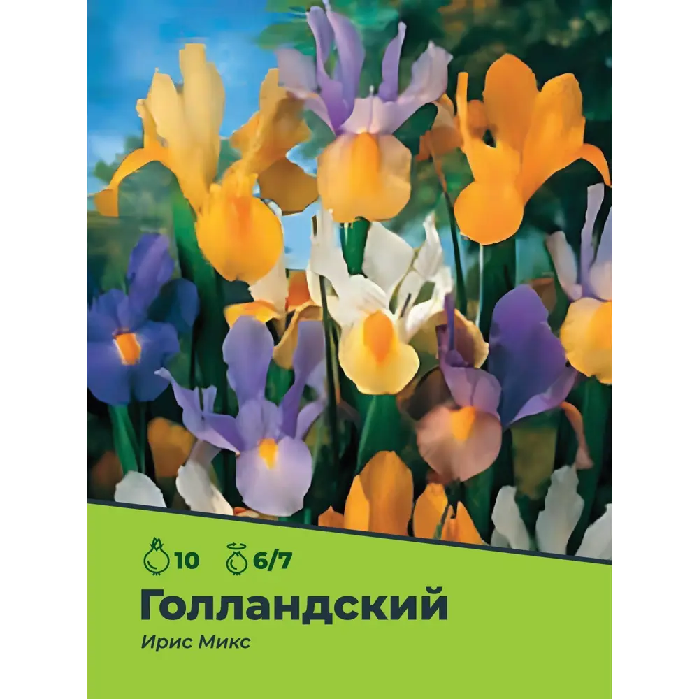Ирис голландский микс луковицы 6/7, 10 шт. 89049673 STLM-2198102 Santreyd  - Вид №1