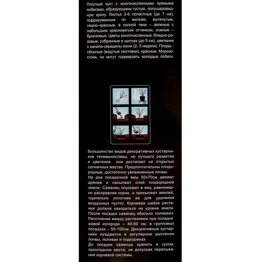 Пузыреплодник калинолистный «Ред Барон» (в тубе) 81948504 STLM-2116373 Santreyd  - Вид №2