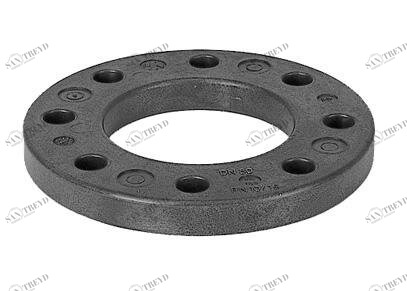 SANIT 842750210223205 Свободный фланец, ПП / конец заглушки стали 