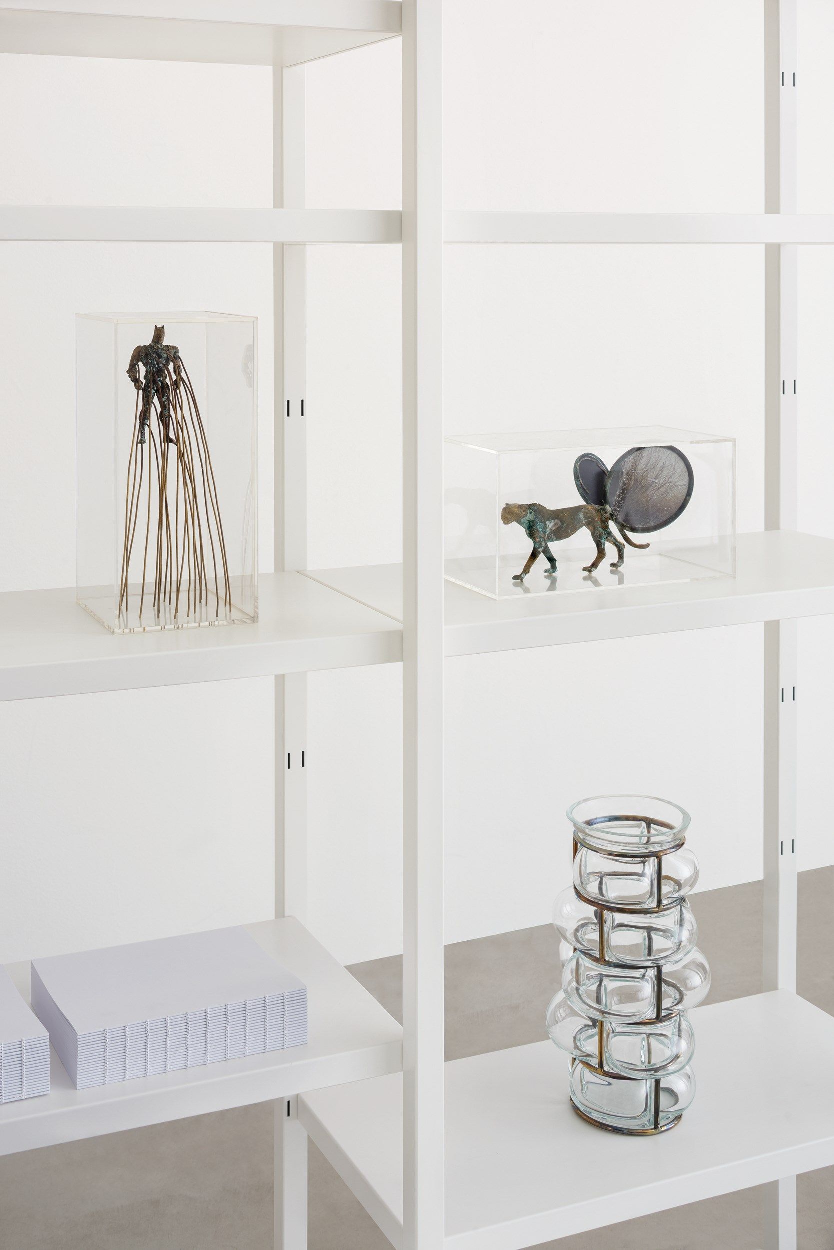 Секционная Книжная полка Desalto ARCH-00034160 - Вид №10