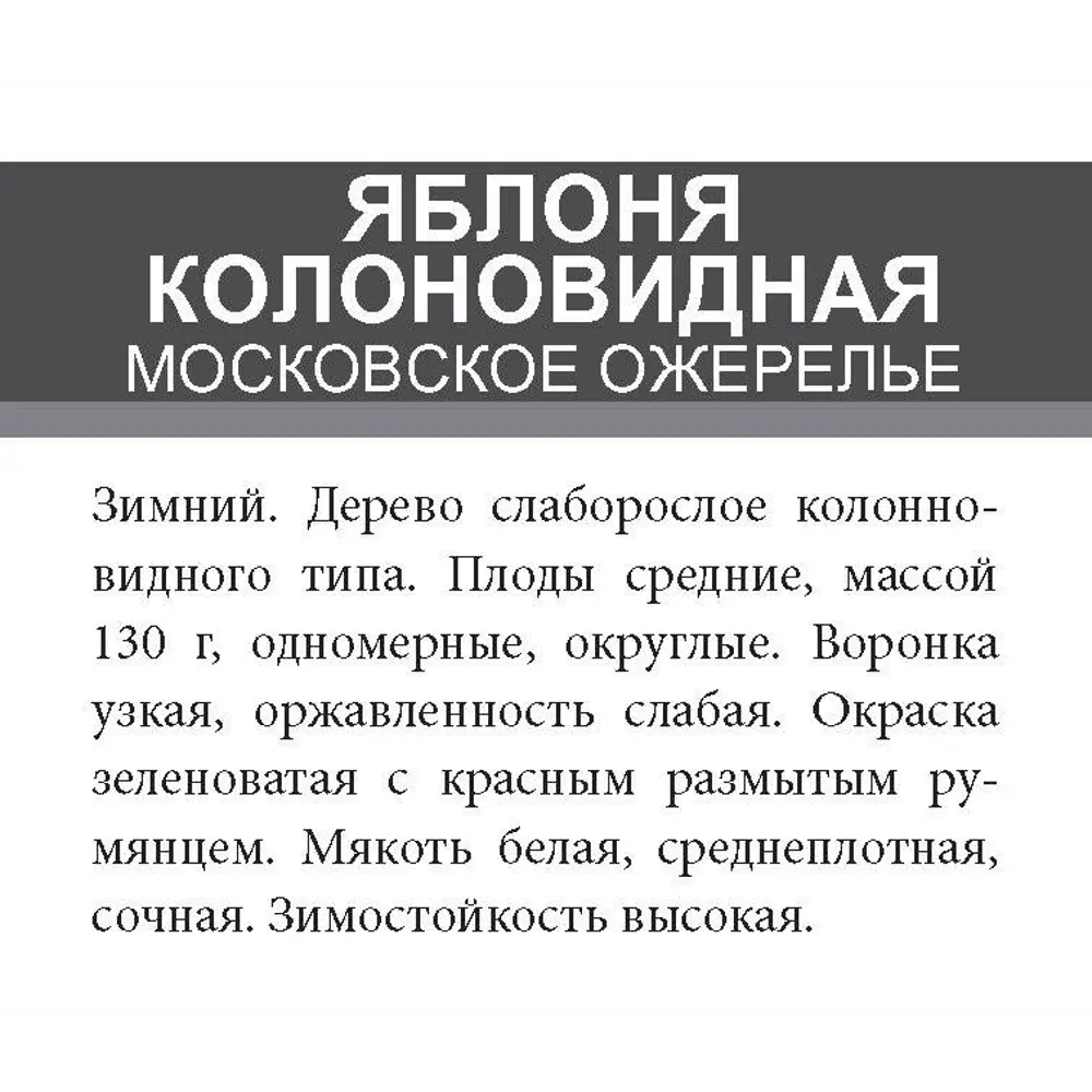 Яблоня колоновидная Московское ожерелье ø20 h180 см 85670474 STLM-2210938 Santreyd  - Вид №1