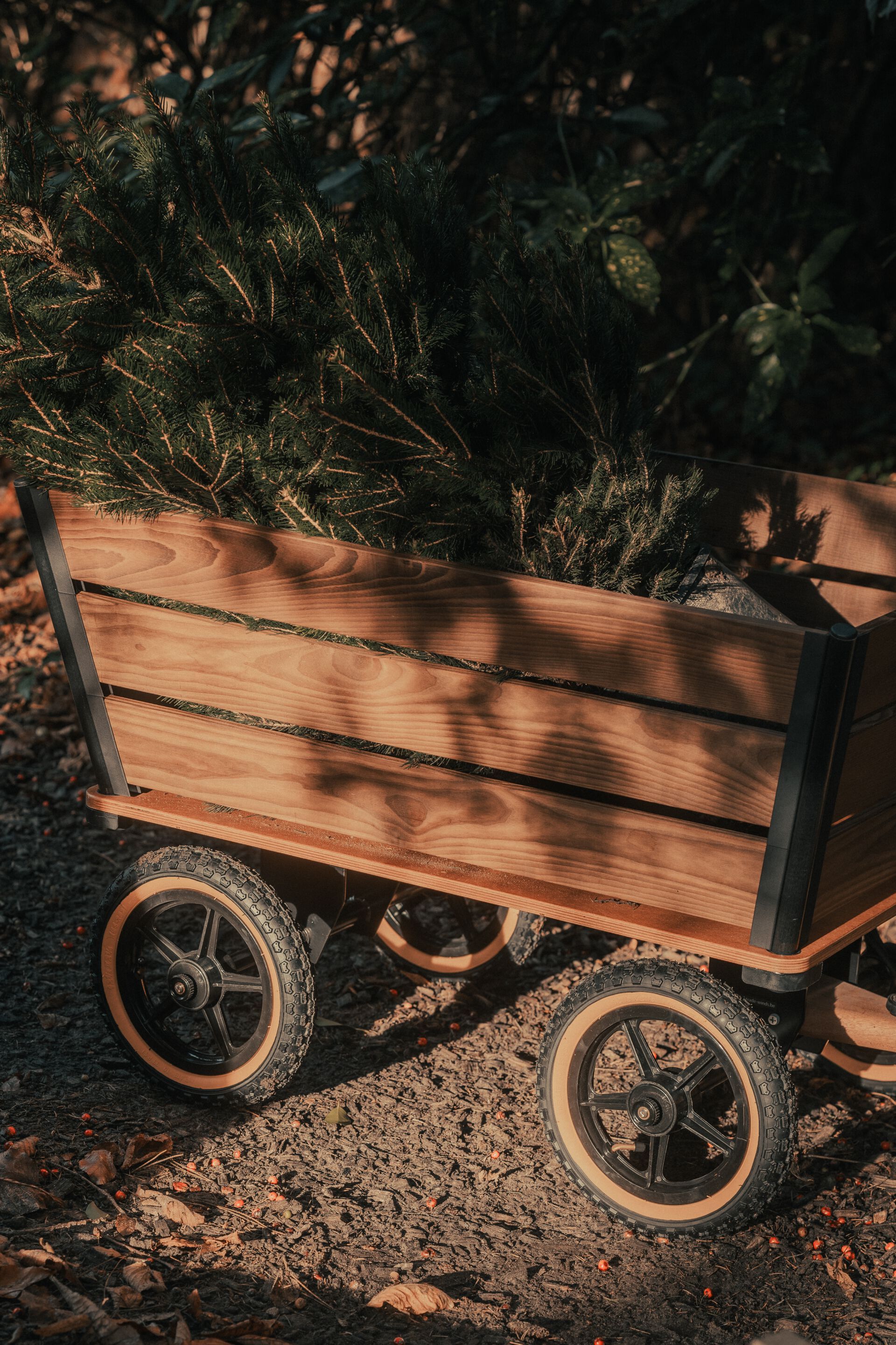 Садовая тележка TRADEWINDS THE PLANK WAGON ARCH-00043245 - Вид №7