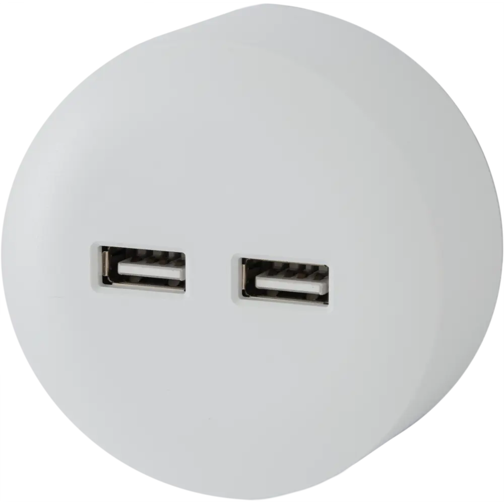 Розетка для трека 2 USB 2.1 цвет белый SKYBEAM STLM-2007832 - Вид №1