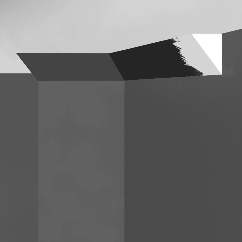 Santreyd Basic: Потолочный плинтус белый 20х20х2000 мм для безупречной отделки 89365807 STLM-1537259 - Вид №2