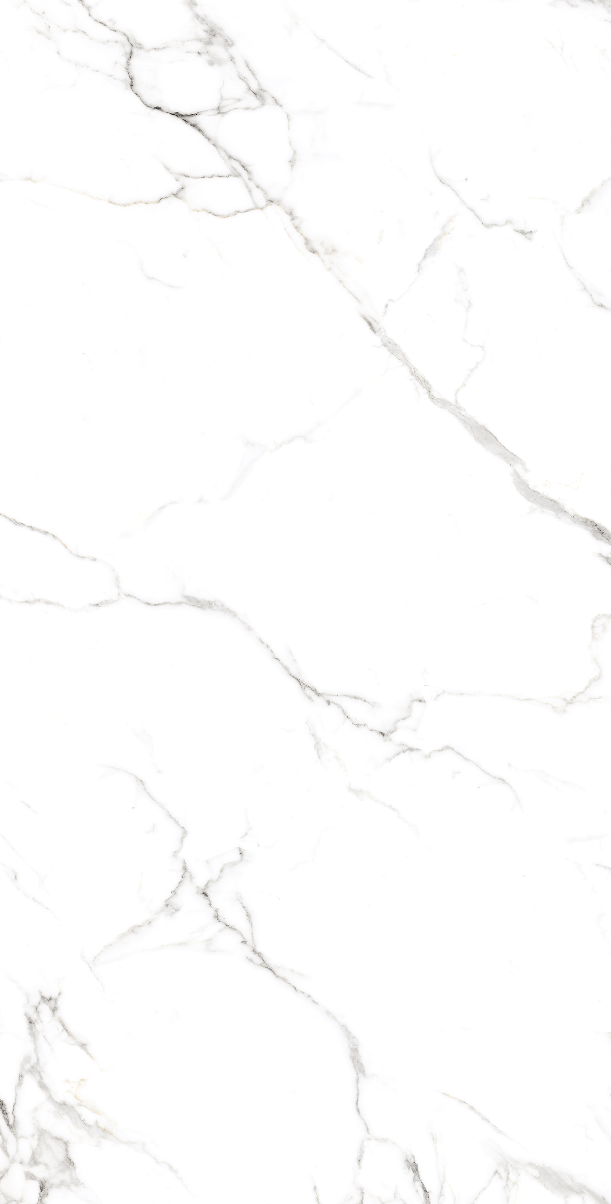 STATUARIO FINE — Элегантность мрамора в вашем интерьере FP1039-A Arcadia Ceramica - Вид №2