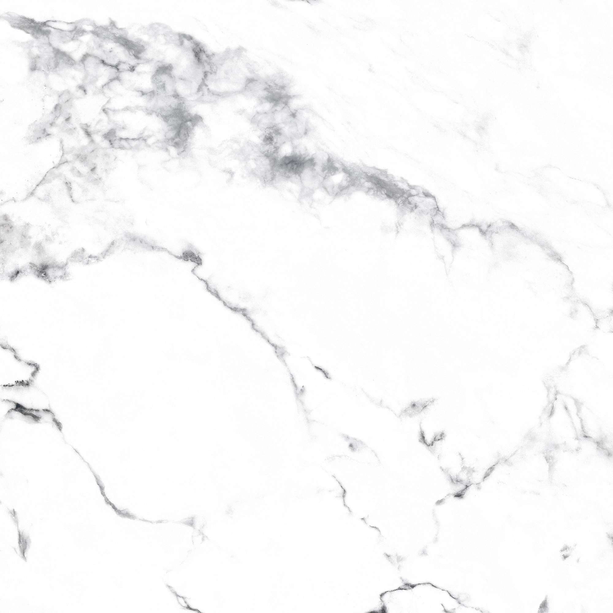 Керамогранит BORGHINI SILVER 60х60 Arcadia Ceramica CR4006-A STLM-2206816 89396428 Carving - Вид №14