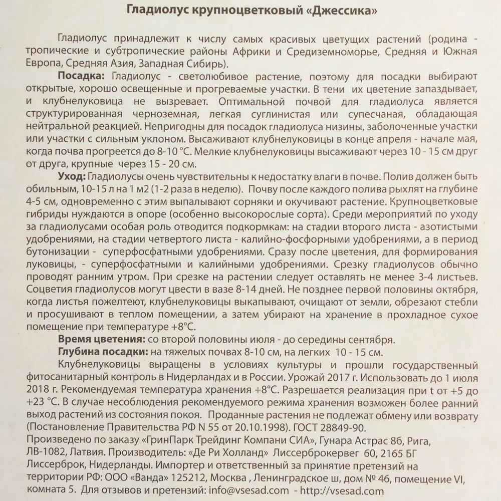 Гладиолус крупноцветковый Джессика 10/12, 7 шт 81945938 STLM-2123890 Santreyd  - Вид №2