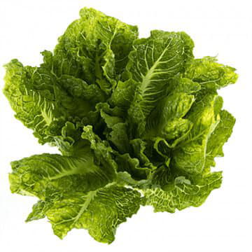 Салат Романо Santreyd 1888