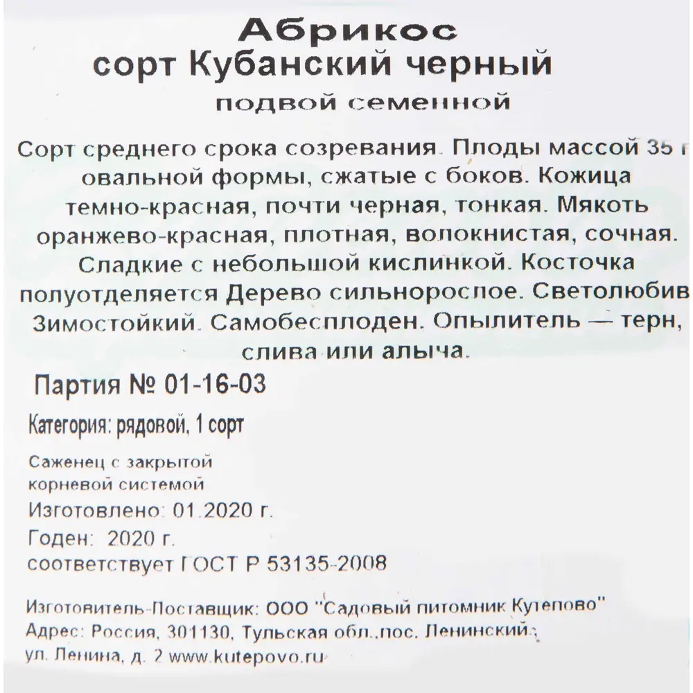 Абрикос «Кубанский чёрный» C7 высота 180 см 82597678 STLM-2051655 Santreyd  - Вид №1