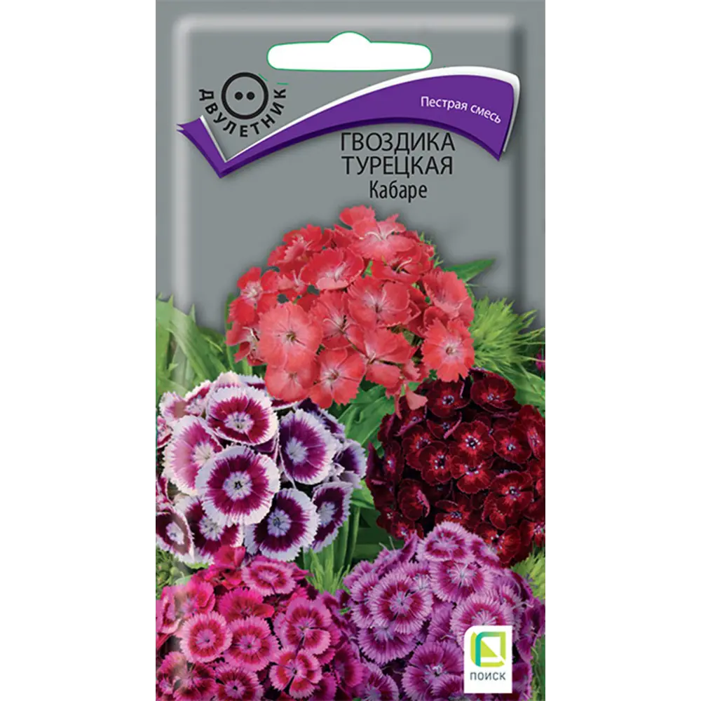 Гвоздика турецкая Кабаре ПОИСК - пестрая смесь для цветников 89401269 STLM-1569142