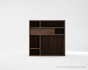 424_830 Комбинированный шкаф типа 1 Karpenter Circa17