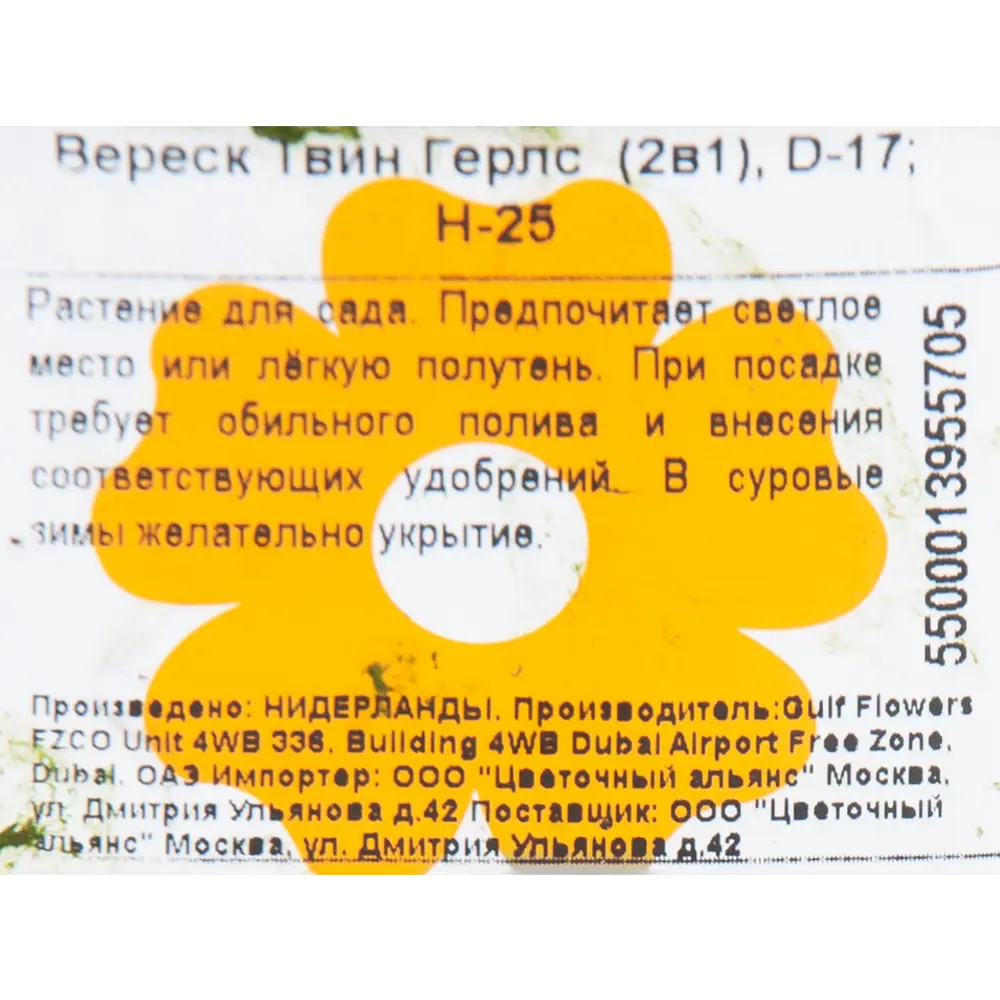 Вереск Твин Герлс 2-в-1 17x25 см 82733765 STLM-2130991 Santreyd  - Вид №1