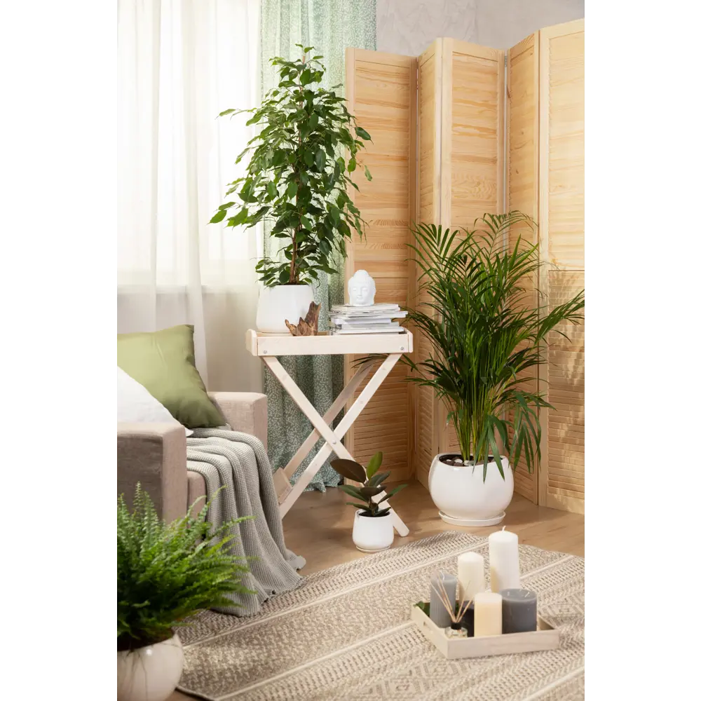 Керамический горшок GONCHAR Скарлет для бонсая и комнатных растений 82126342 STLM-0019810 - Вид №2