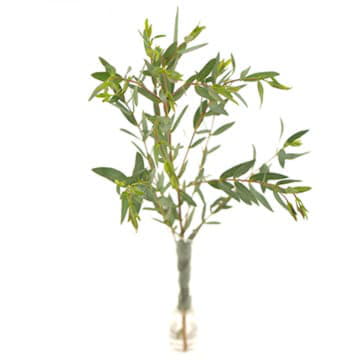 Листья эвкалипта Парфифолия 70 см Santreyd 26393 - Вид №1