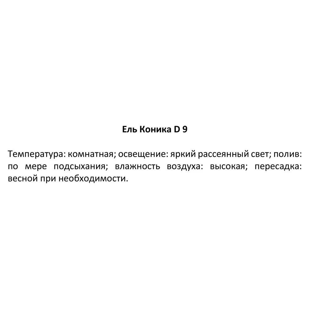 Ель Коника ø9 h30-35 см 85848721 STLM-2082271 Santreyd  - Вид №2
